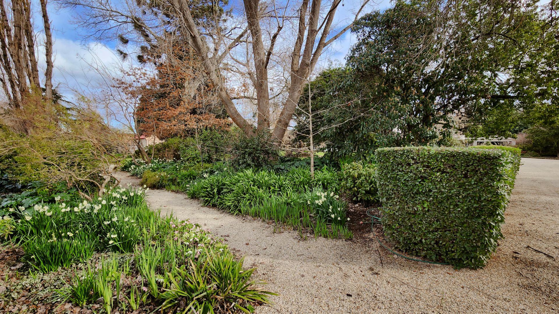 Vineyard and river views at Tahbilk Estate